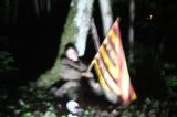 Macbeth en foret 16 * 5184 x 3456 * (7.17MB)